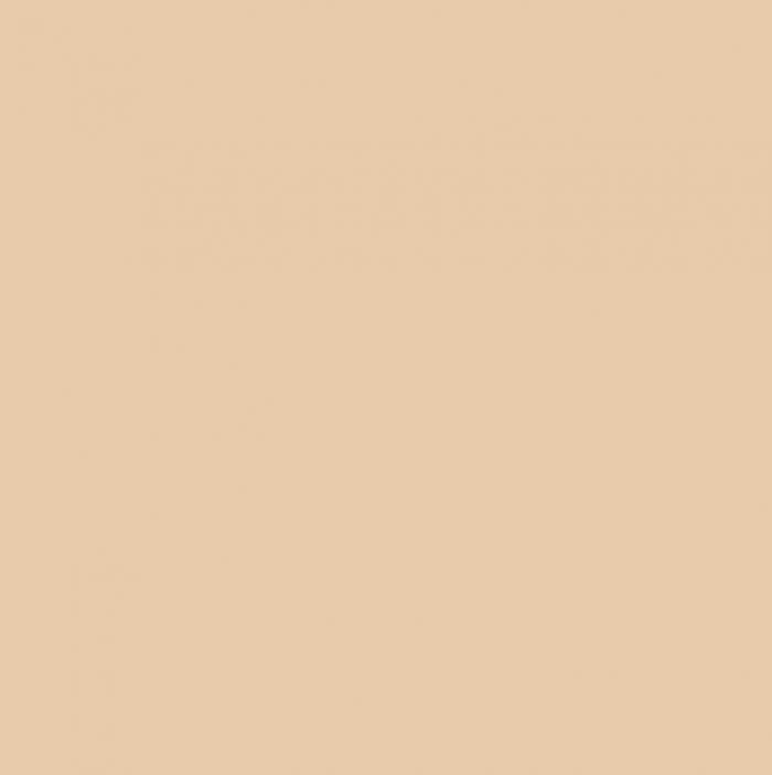 revestimento cerâmico AC10060