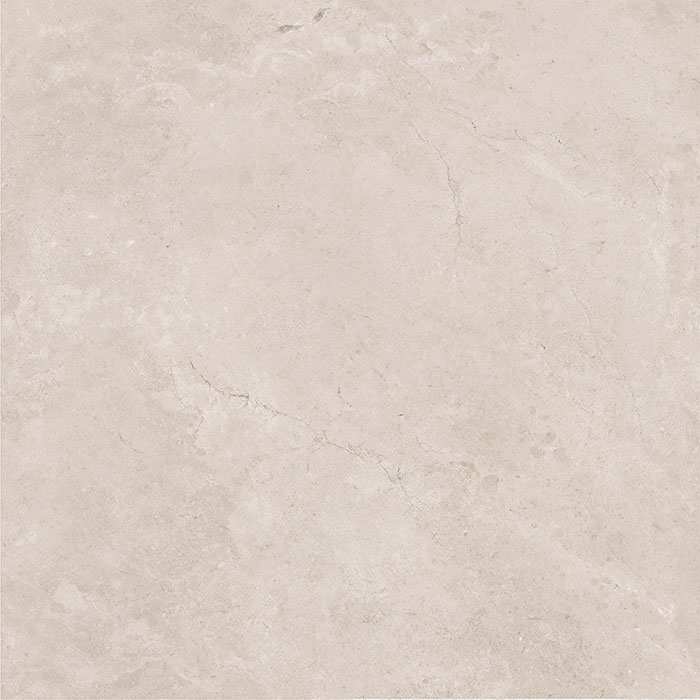 revestimento cerâmico PPO58070R