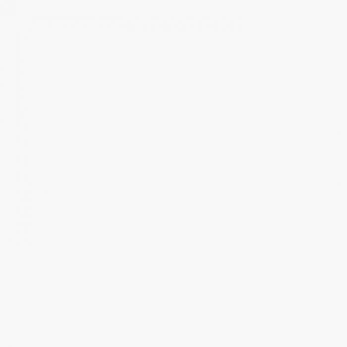 revestimento cerâmico PTG58020R